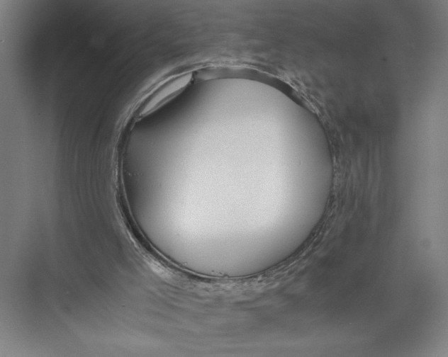 X0000075410005200610062009