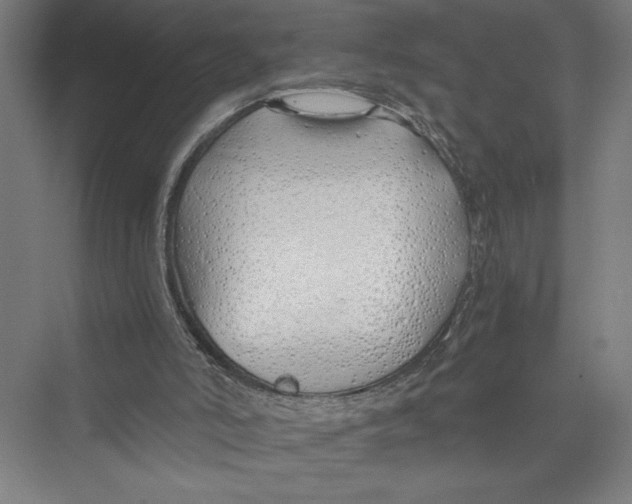 X0000075410006200610062009