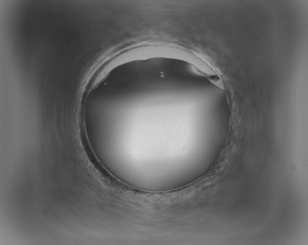 X0000075410007200610062009