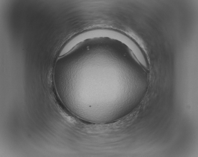 X0000075410009200610062009