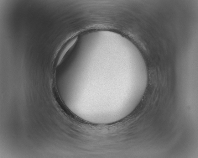 X0000075410015200610062009