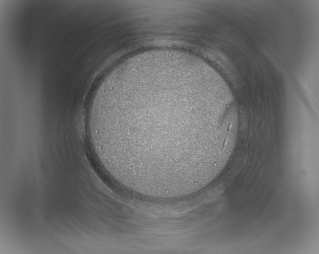 X0000075410016200610062009