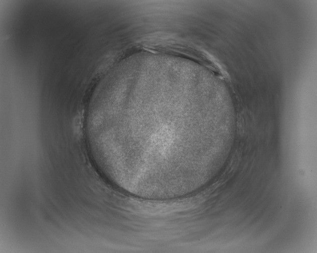 X0000075410018200610062009