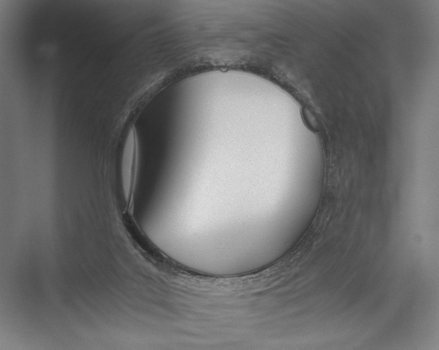 X0000075410019200610062009