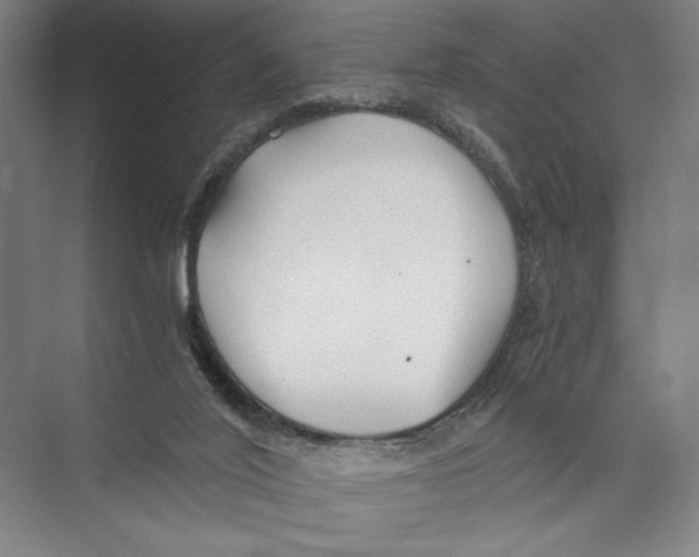 X0000075410020200610062009