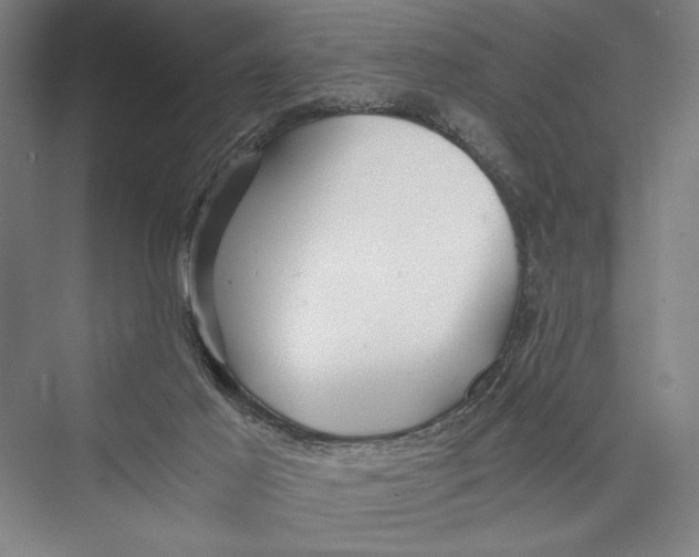 X0000075410021200610062009