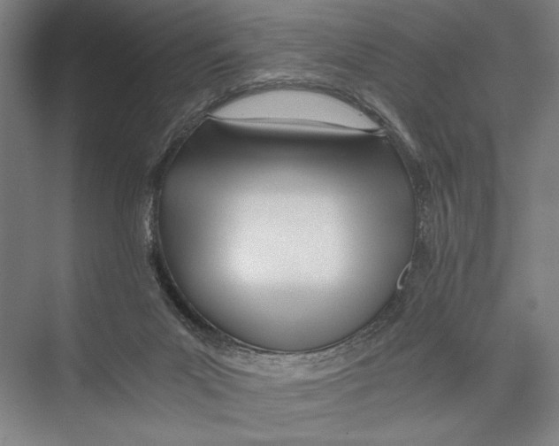 X0000075410023200610062009