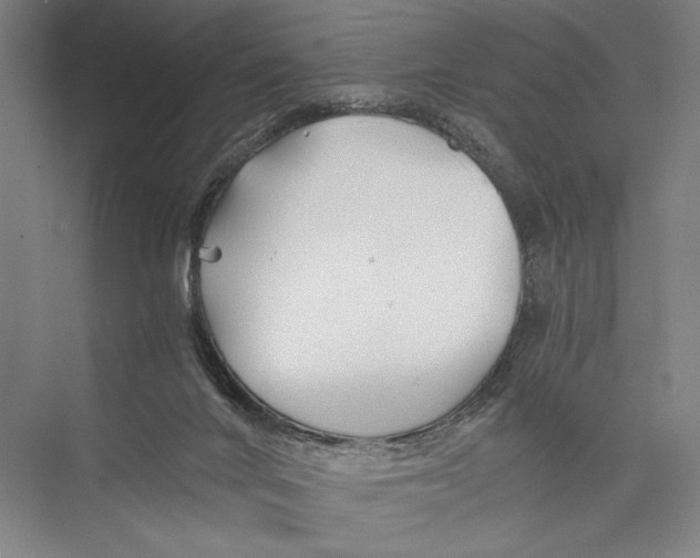 X0000075410024200610062009