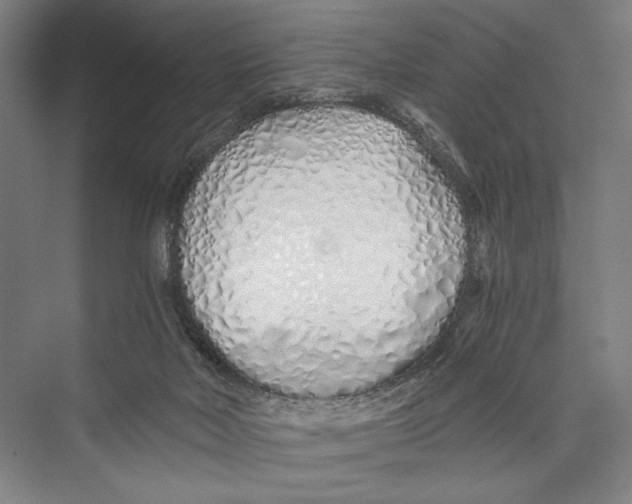 X0000075410026200610062009