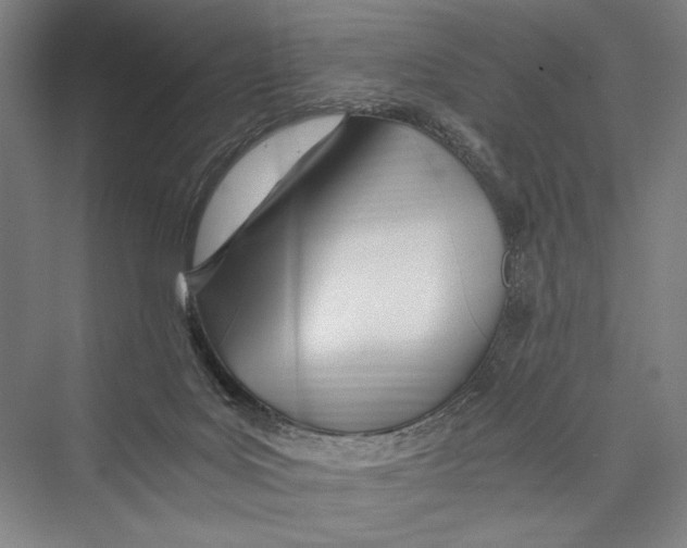 X0000075410027200610062009