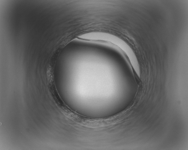 X0000075410029200610062009