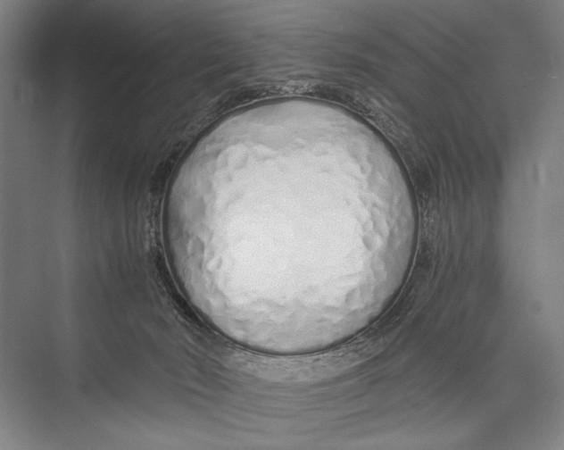 X0000075410030200610062009