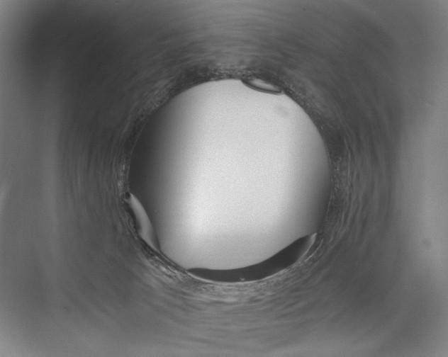 X0000075410033200610062009