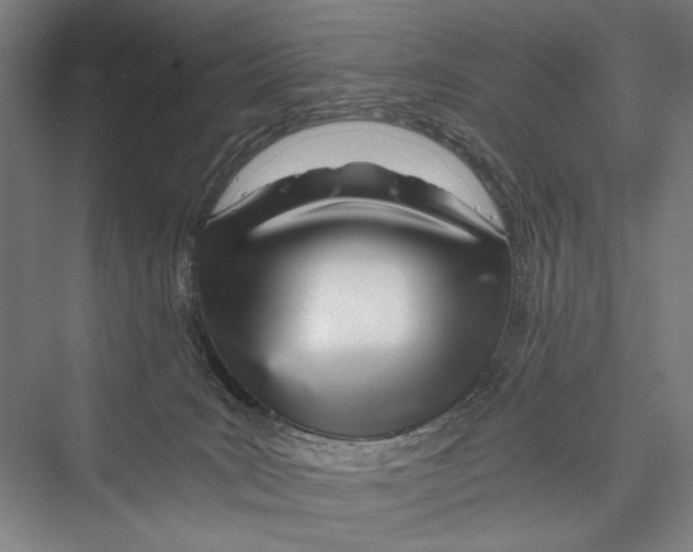 X0000075410035200610062009