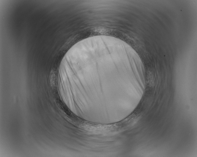 X0000075410036200610062009