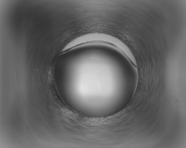 X0000075410037200610062009