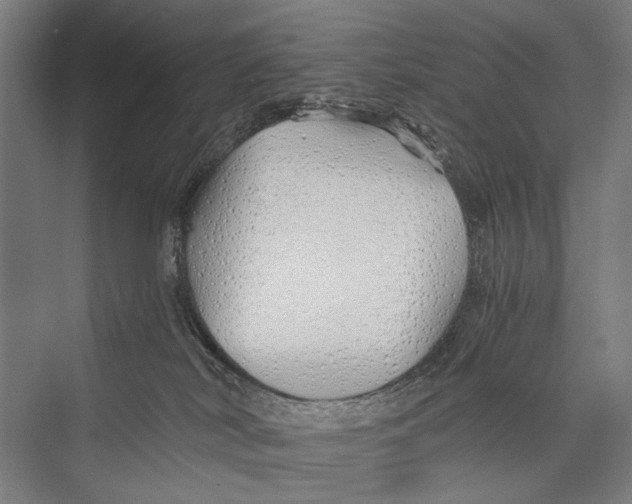 X0000075410038200610062009