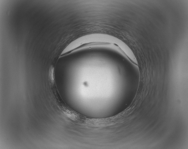 X0000075410041200610062009