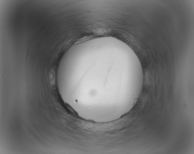 X0000075410043200610062009