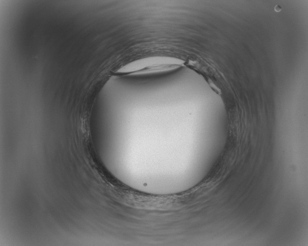 X0000075410044200610062009