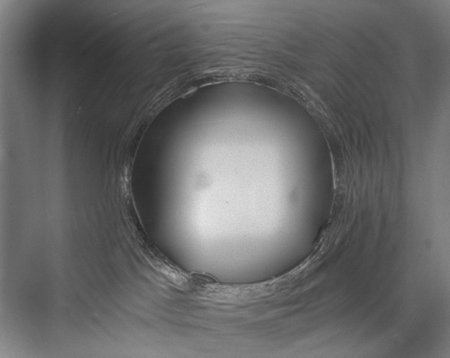 X0000075410045200610062009