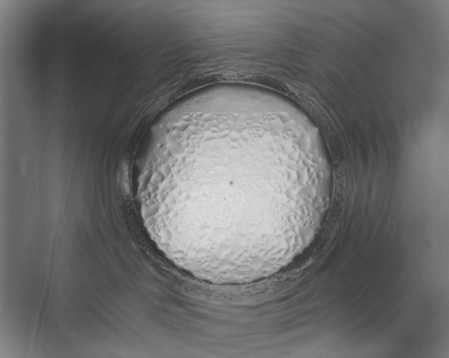 X0000075410046200610062009