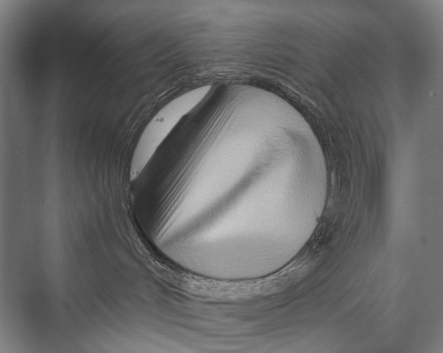 X0000075410048200610062009