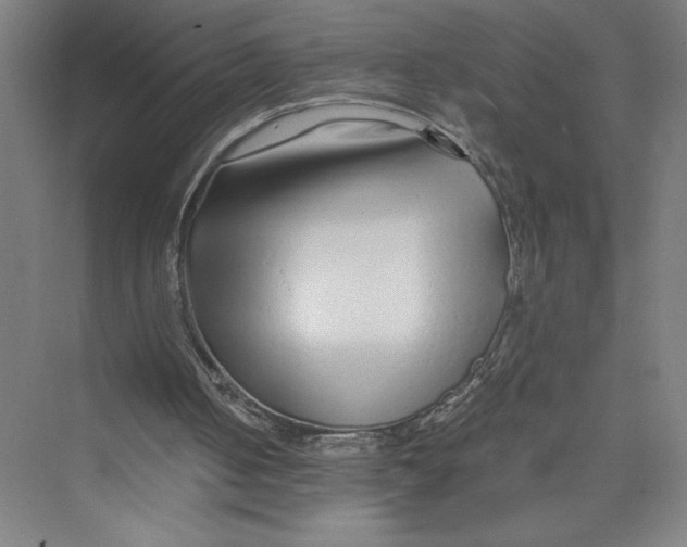 X0000075410050200610062008