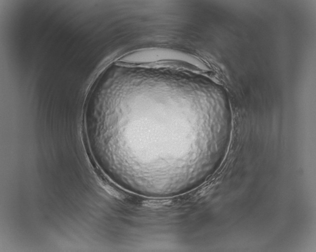 X0000075410051200610062008