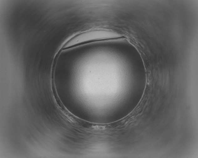 X0000075410052200610062008