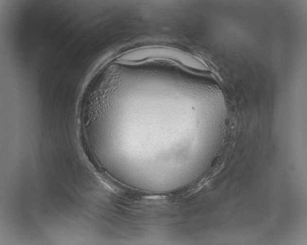 X0000075410053200610062008