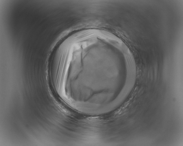 X0000075410054200610062008