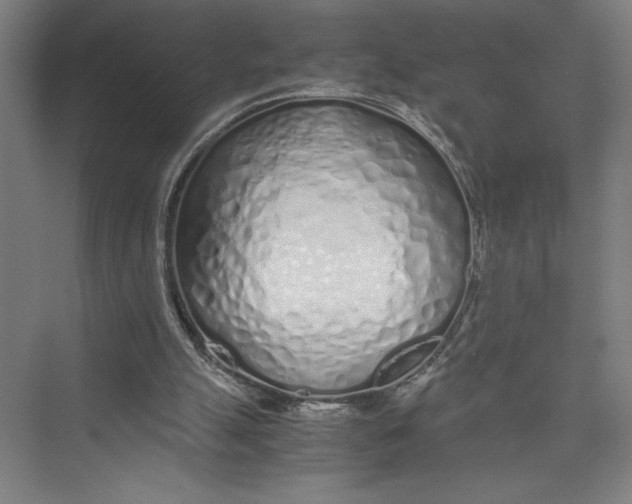 X0000075410055200610062008