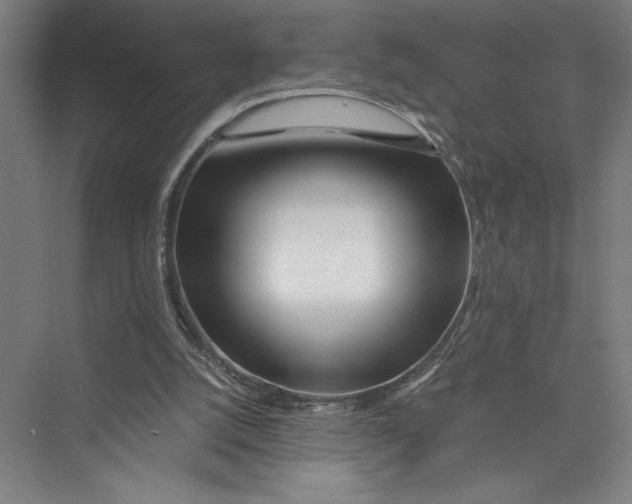 X0000075410056200610062008