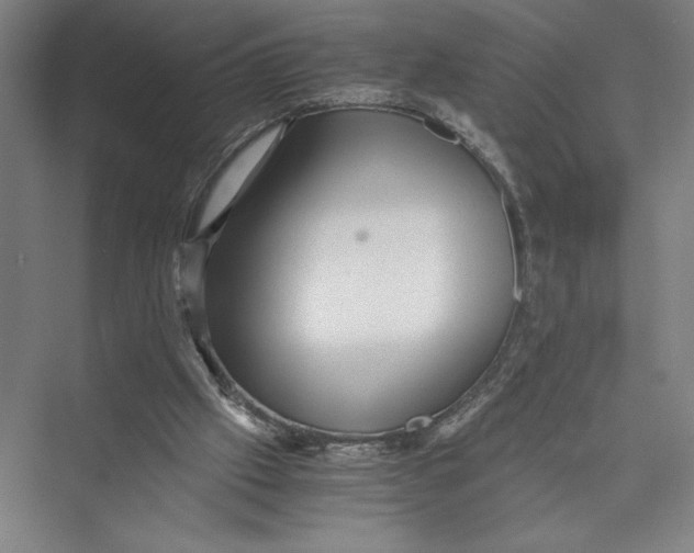 X0000075410057200610062008