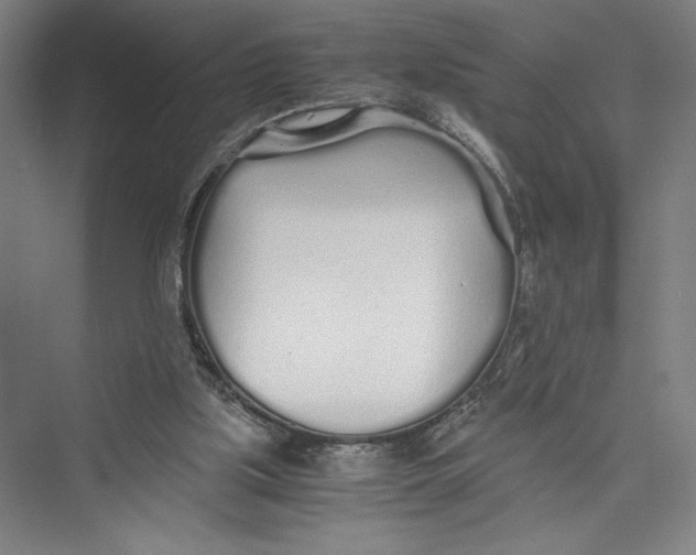 X0000075410059200610062008