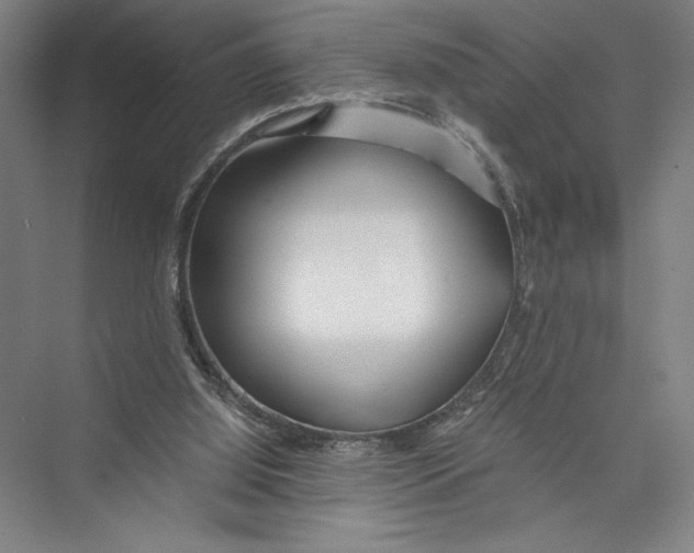 X0000075410060200610062008