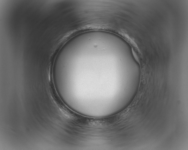 X0000075410062200610062008