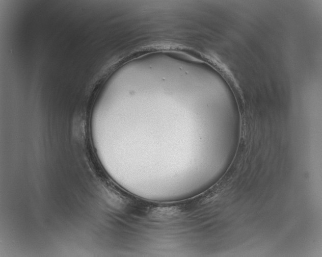 X0000075410063200610062008