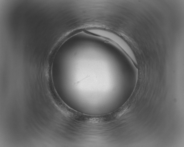 X0000075410064200610062008