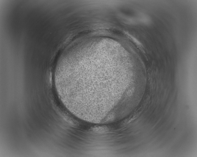 X0000075410067200610062008