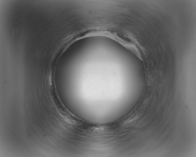 X0000075410068200610062008