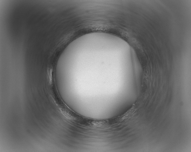 X0000075410070200610062008