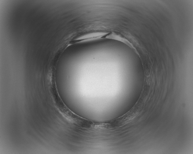 X0000075410072200610062008