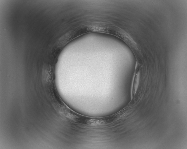 X0000075410073200610062008