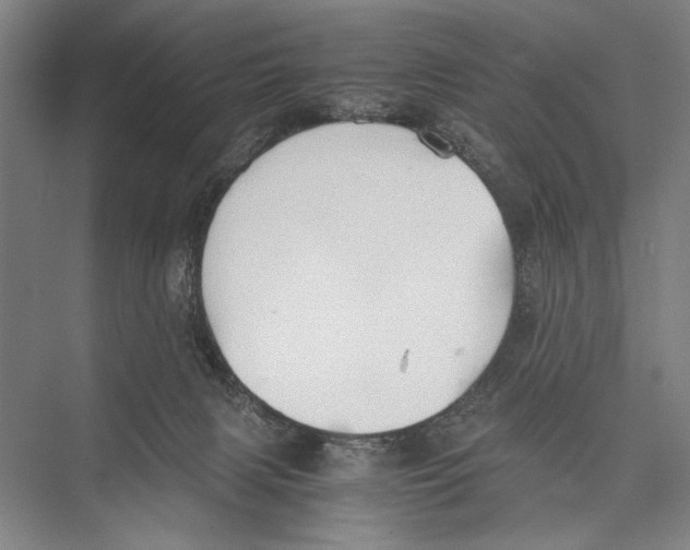 X0000075410079200610062008