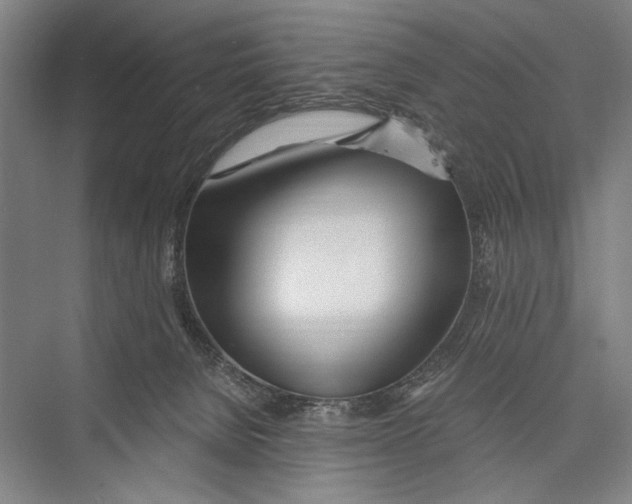 X0000075410080200610062008