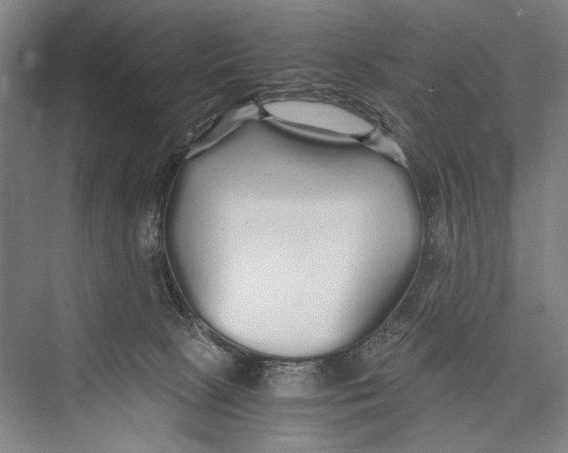 X0000075410081200610062008