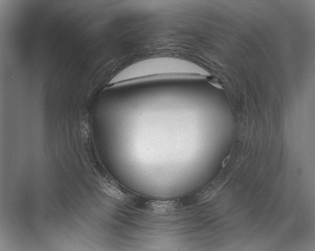 X0000075410085200610062008