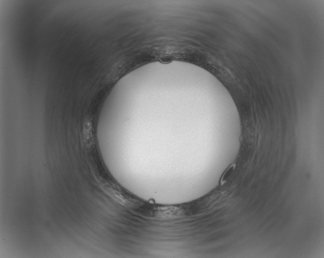 X0000075410087200610062008